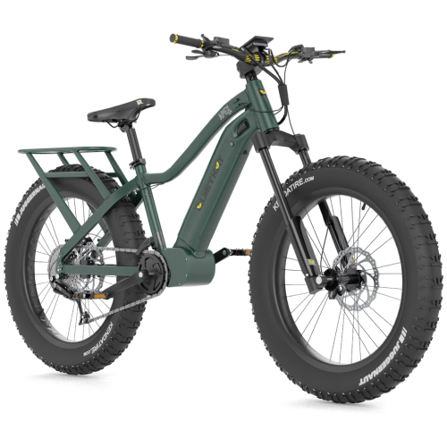 Apex Green Quietkat bike